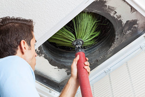 Best Professional Duct Cleaning Services  in Versailles, PA
